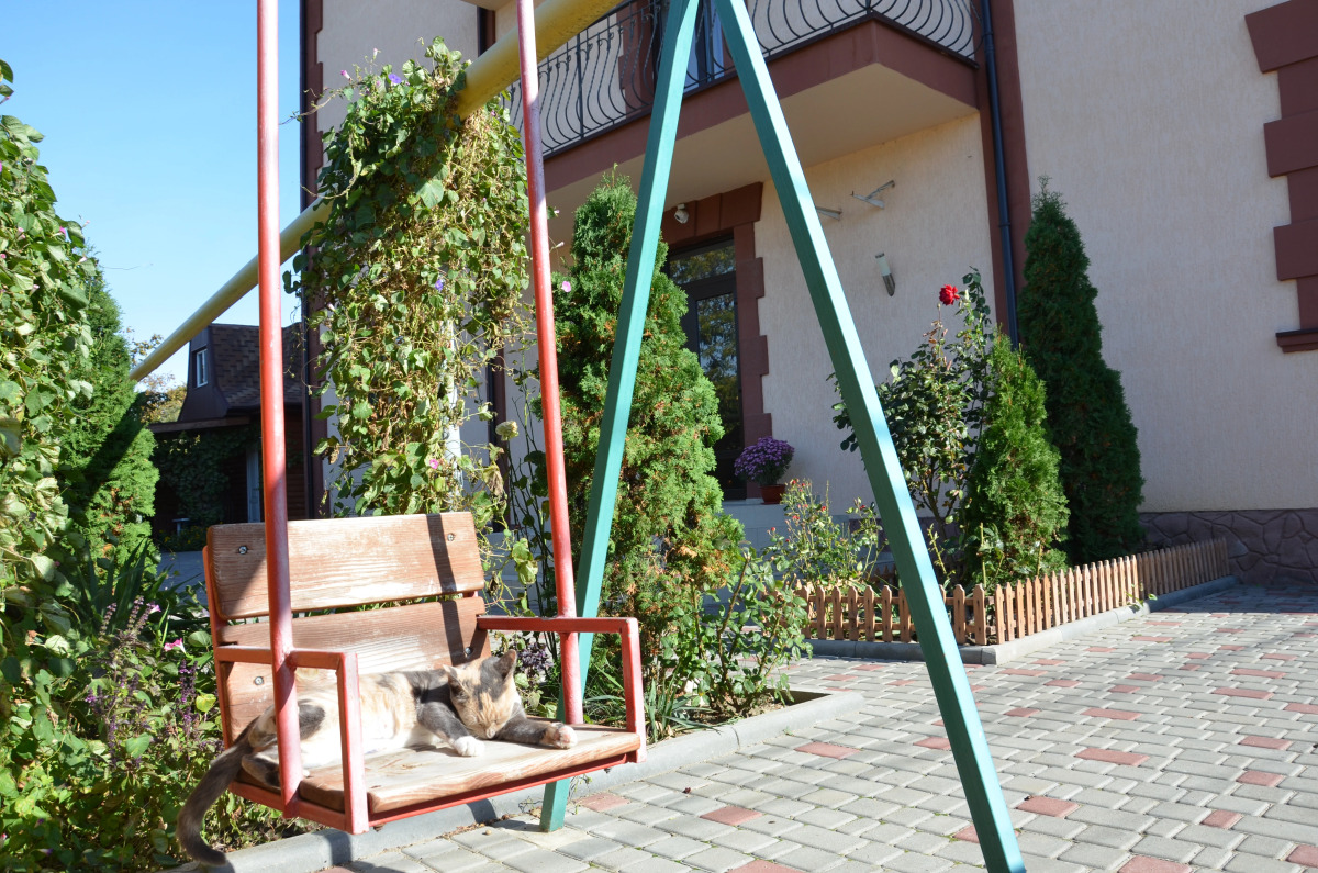 Волшебный край