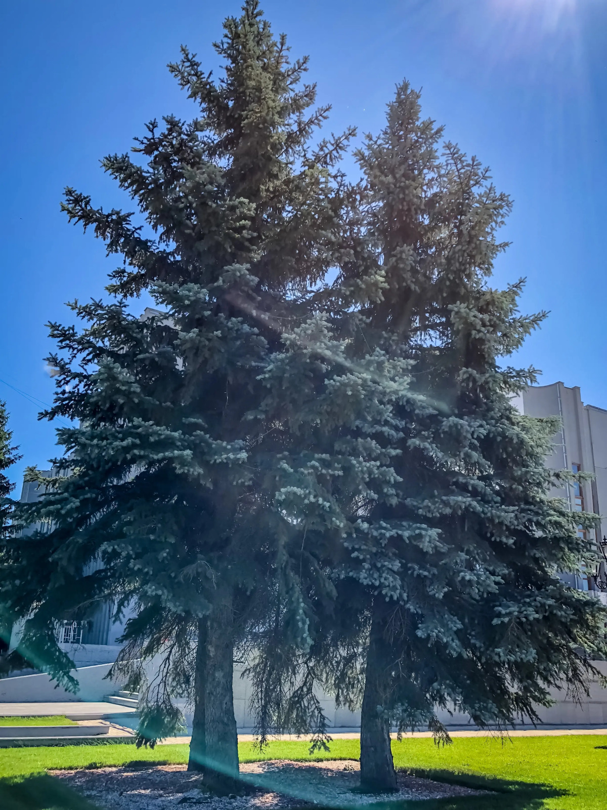 Гостевой дом Guesthouse