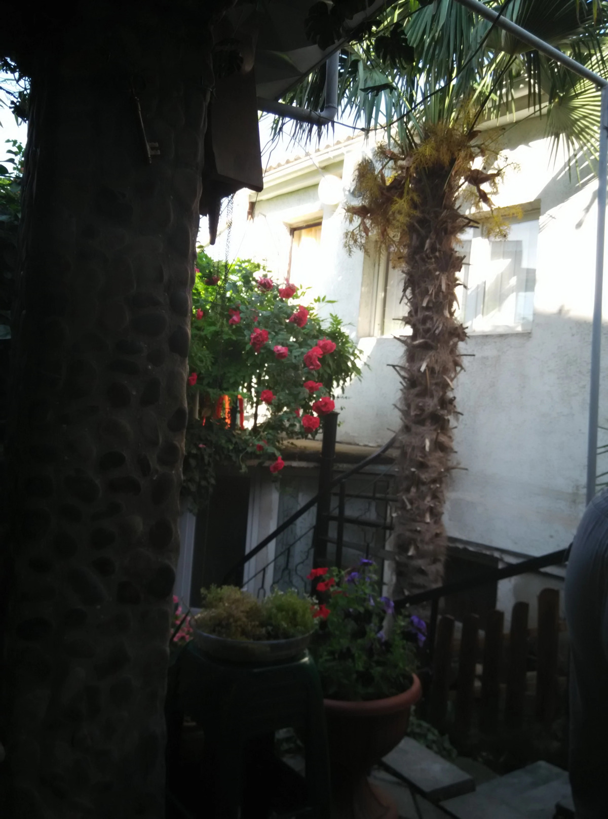 Гостевой дом Волна