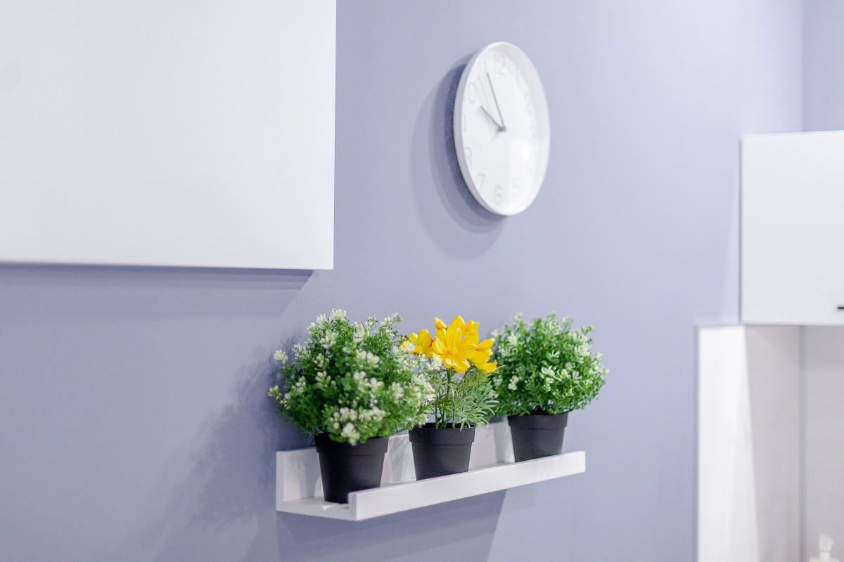 Апартаменты Папай и Оливия