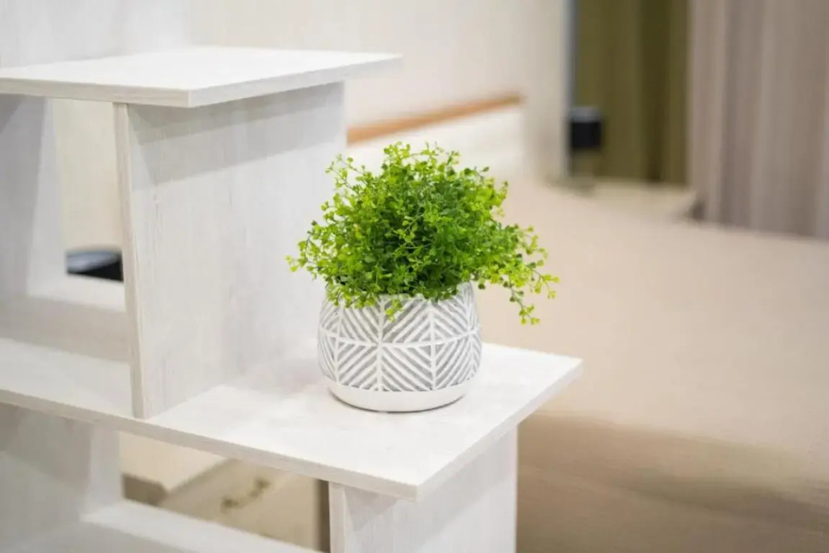 Apartments Malina Alt Platz 41-54-55