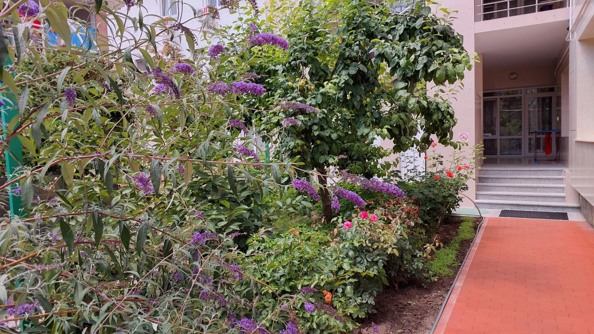 Гостевой Дом Отдых у Александра