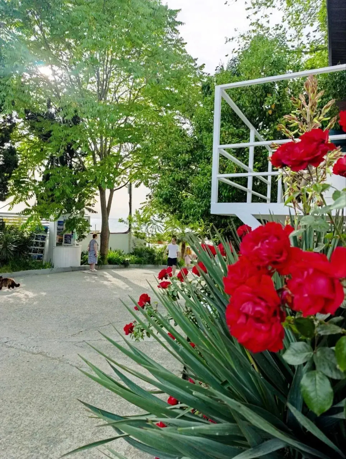 Гостевой дом Villa Soho Sochi Russia