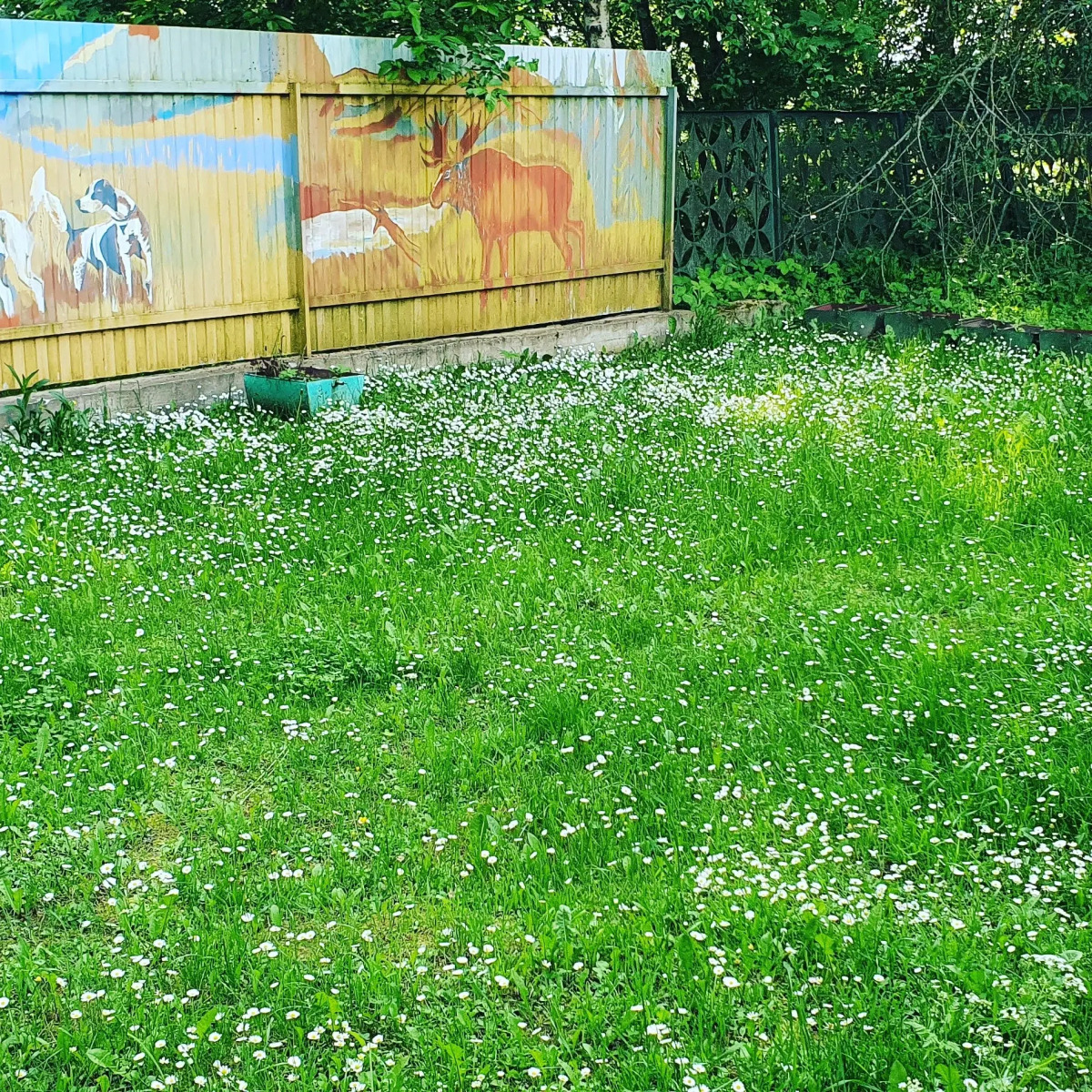 Гостевой дом Агроусадьба у Сан Саныча