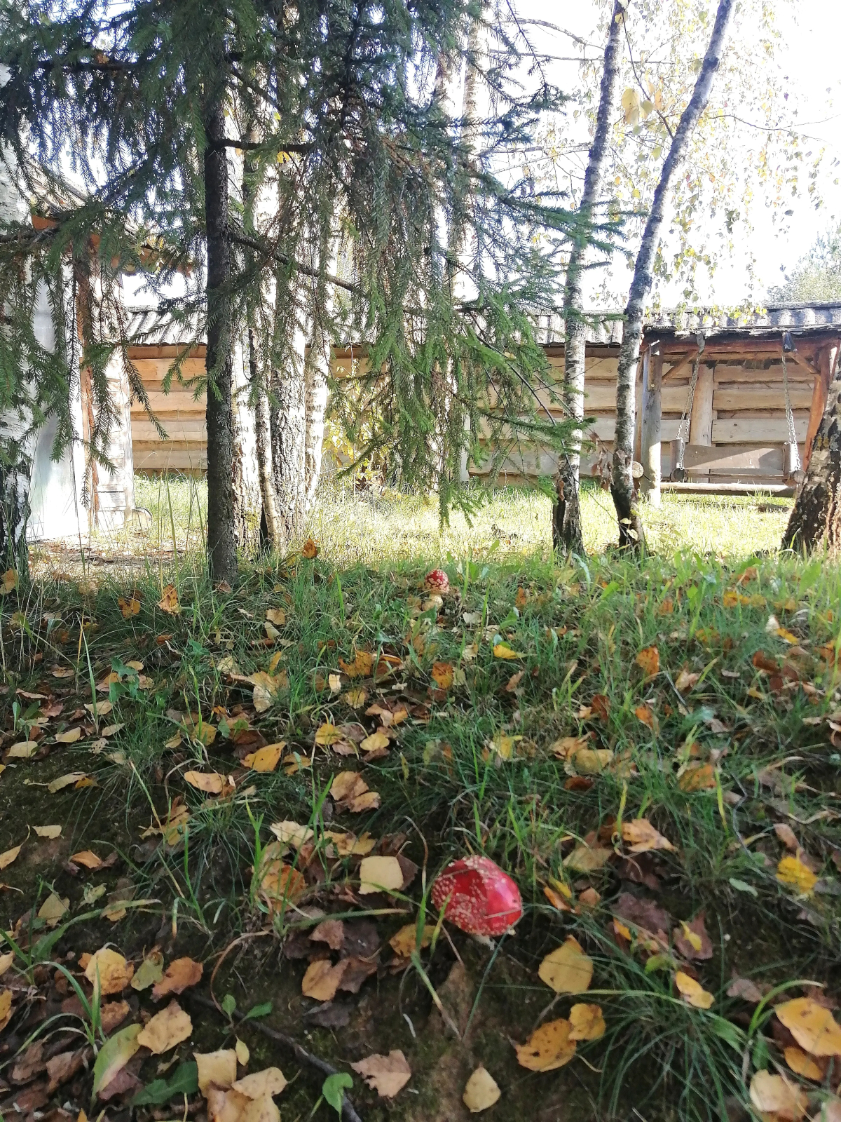 Гостевой дом Окулова Заимка