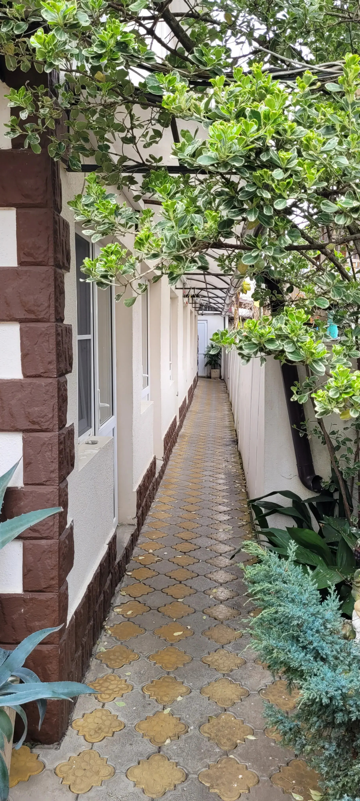 Гостевой дом Олимпия 2