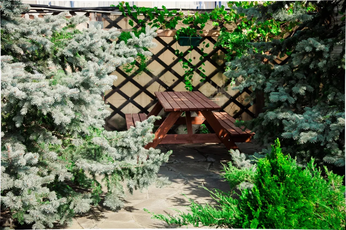 Гостевой Дом Аква-Солярис