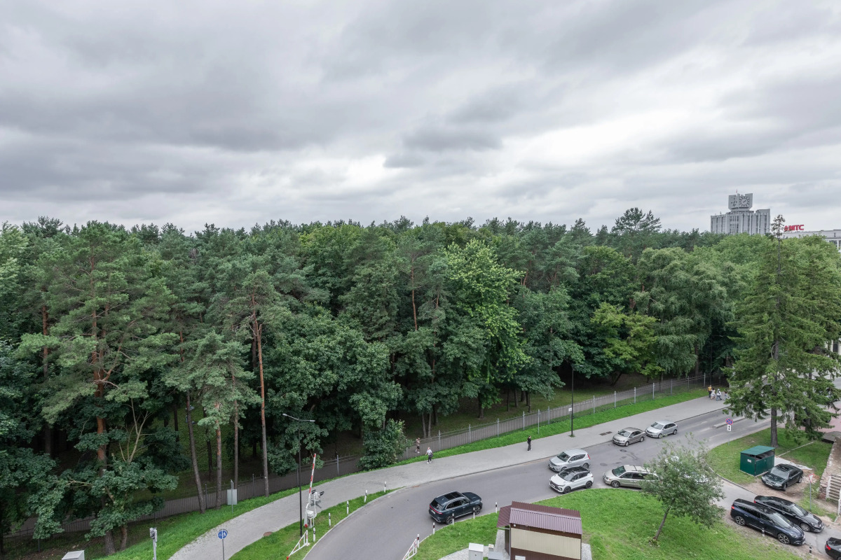 Апартаменты Дизайнерские с видом на парк