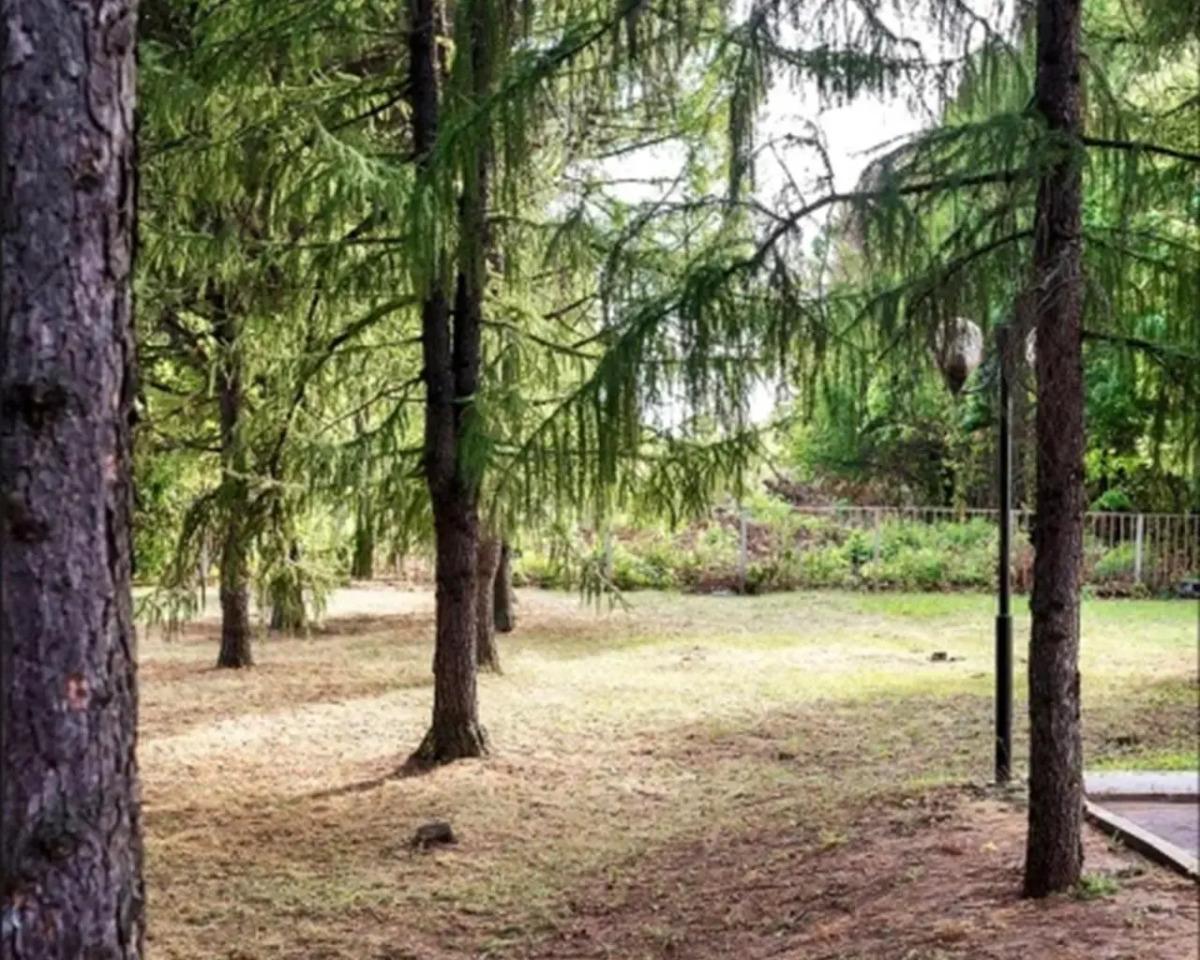 Отель Разгуляй