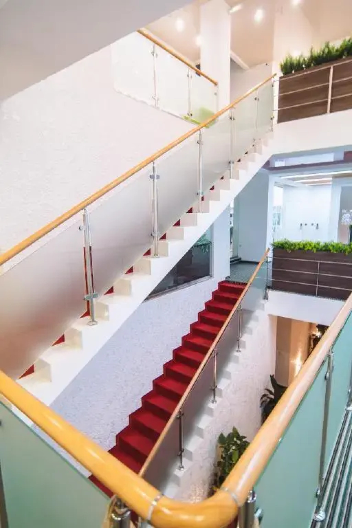 Гостиничный комплекс Dolphin Planet Hotel & SPA