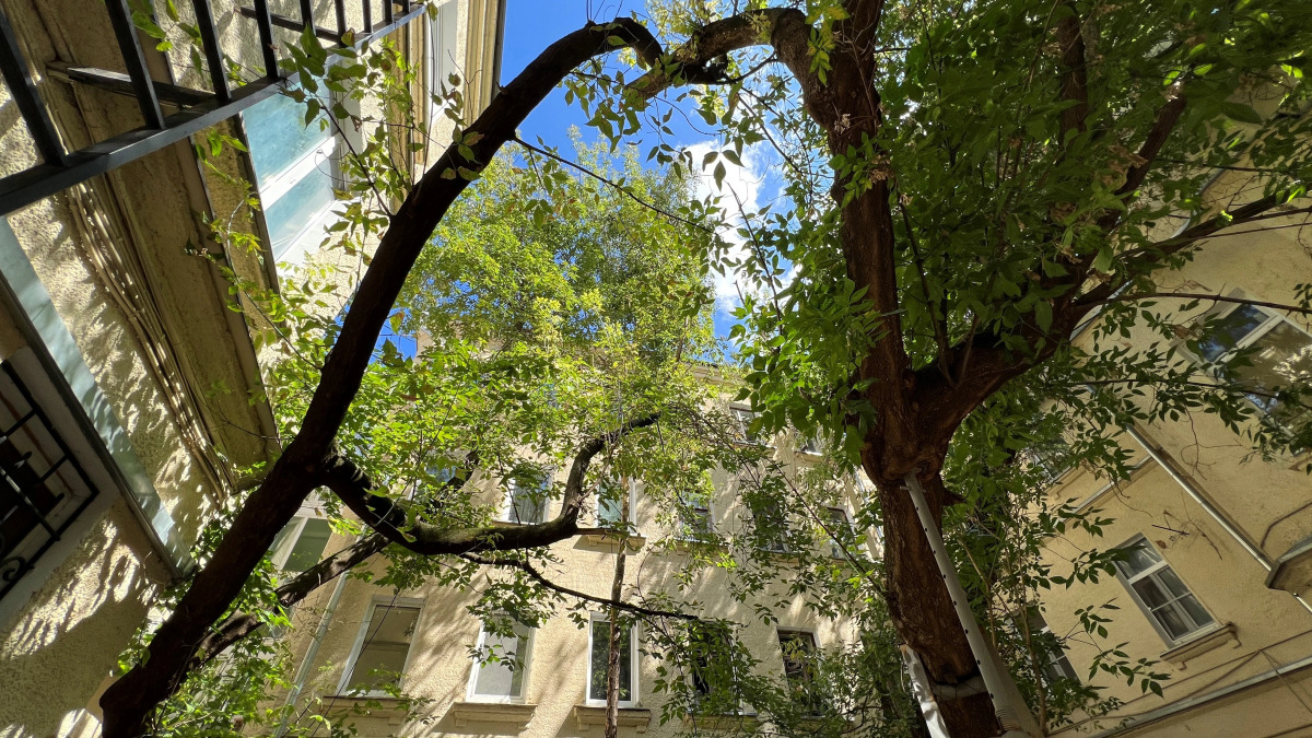 Апартаменты EasyGuest у метро Цветной бульвар