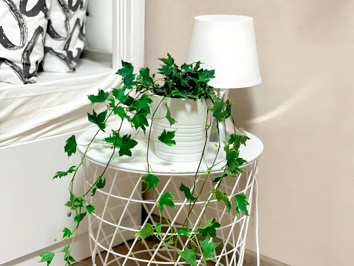 Апартаменты LS Горки Парк