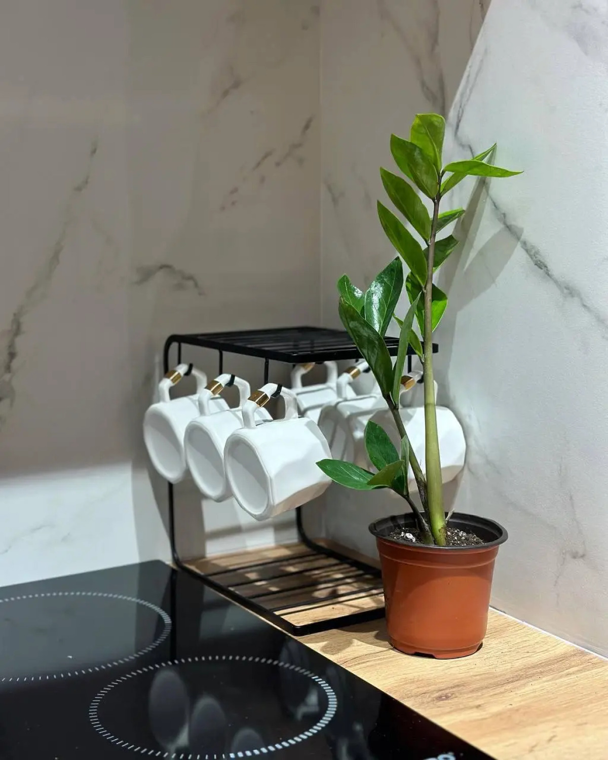 Хостел izzzi hostel Bishkek