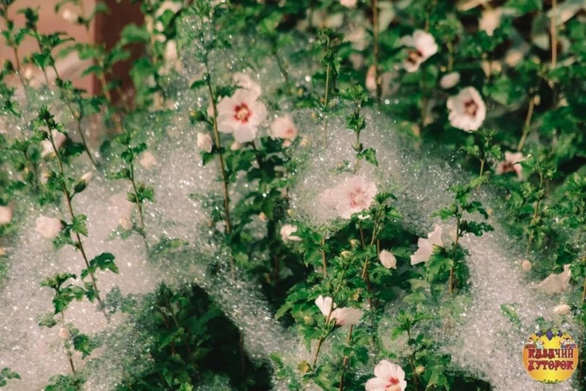 Гостевой Дом Казачий Хуторок