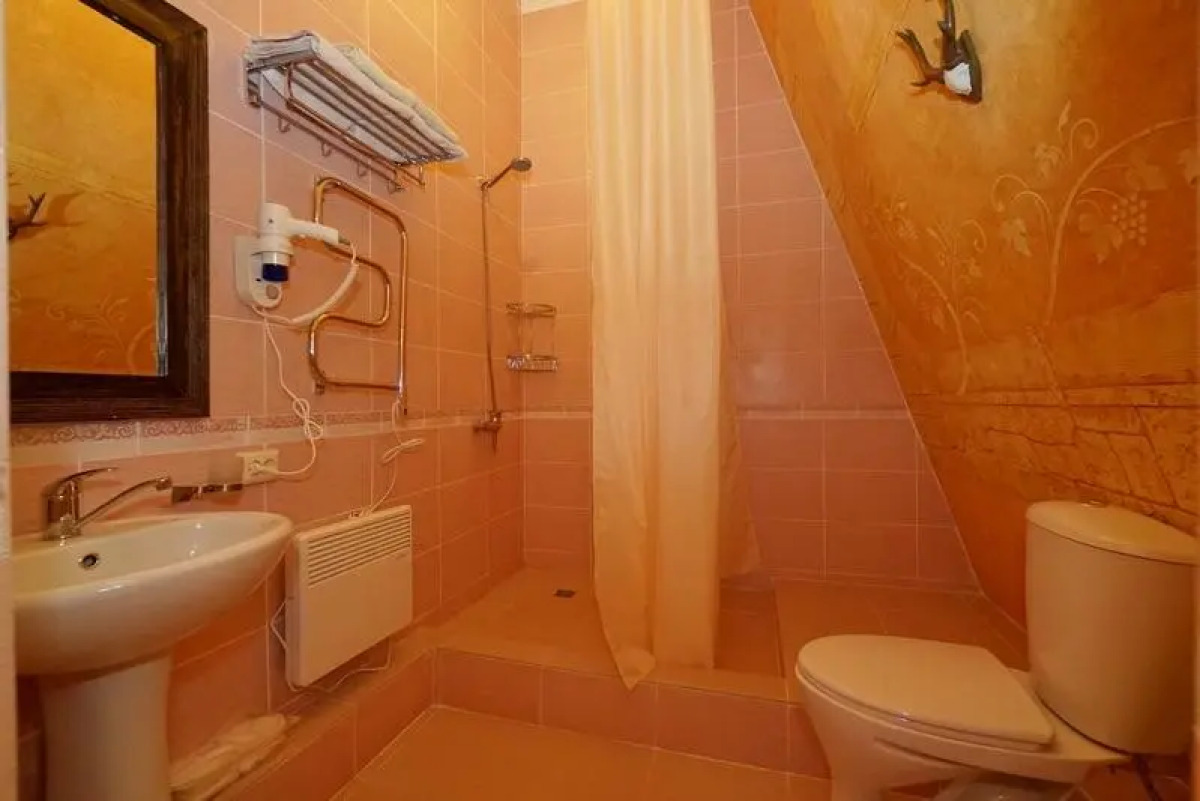 Мини-Отель Мельница