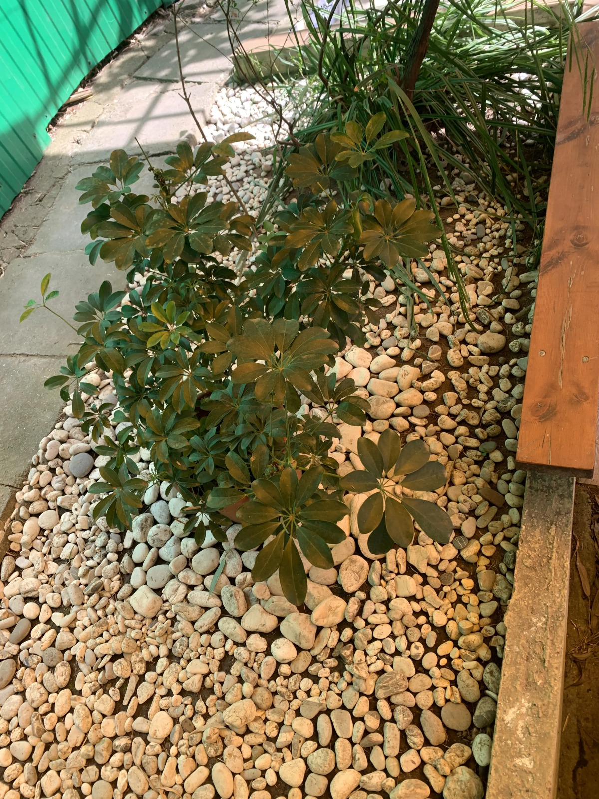 Гостевой дом Жемчужина у моря