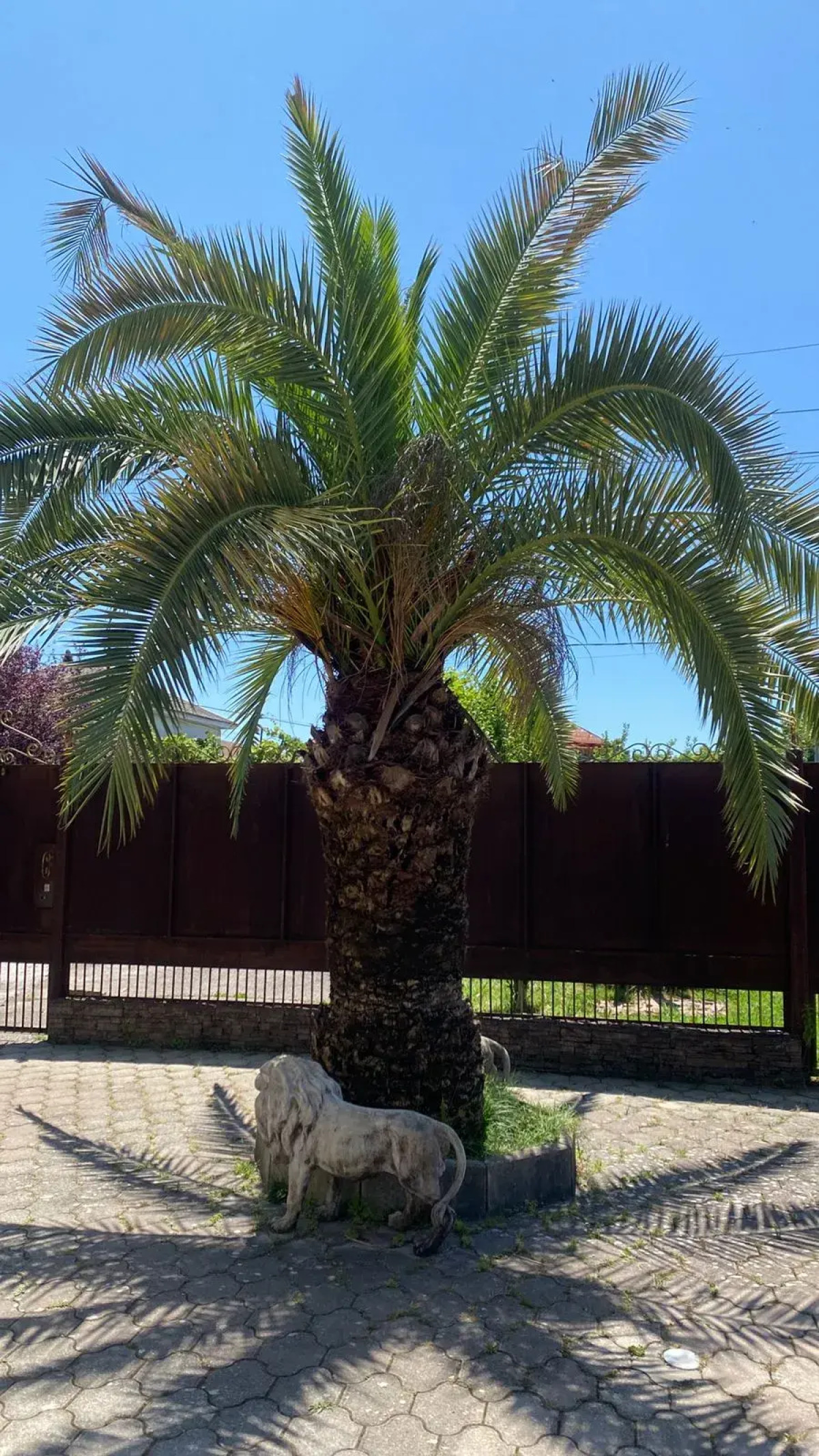 Гостевой Дом Гостевые Домики Гудаута