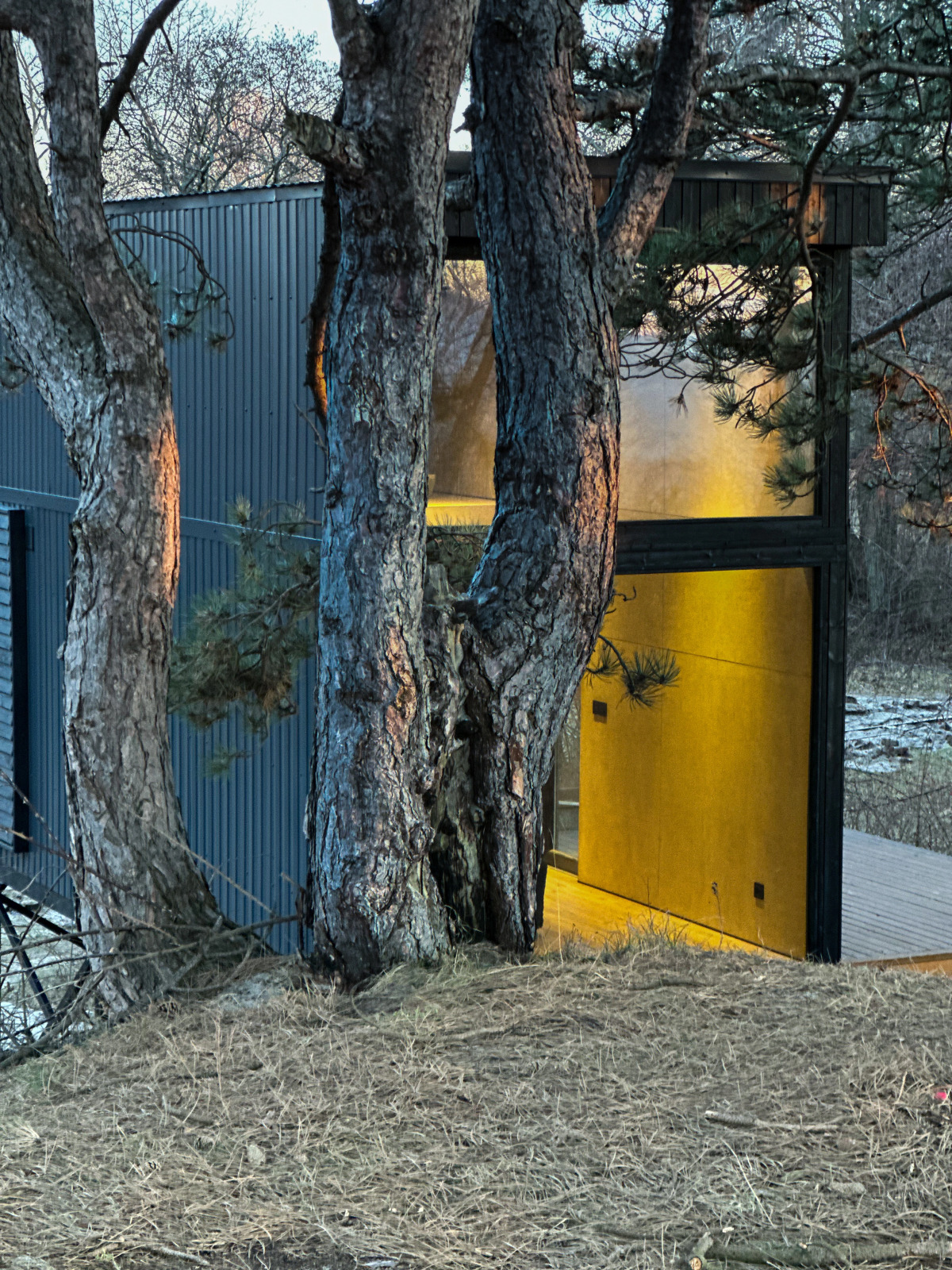 Глэмпинг Викингуд