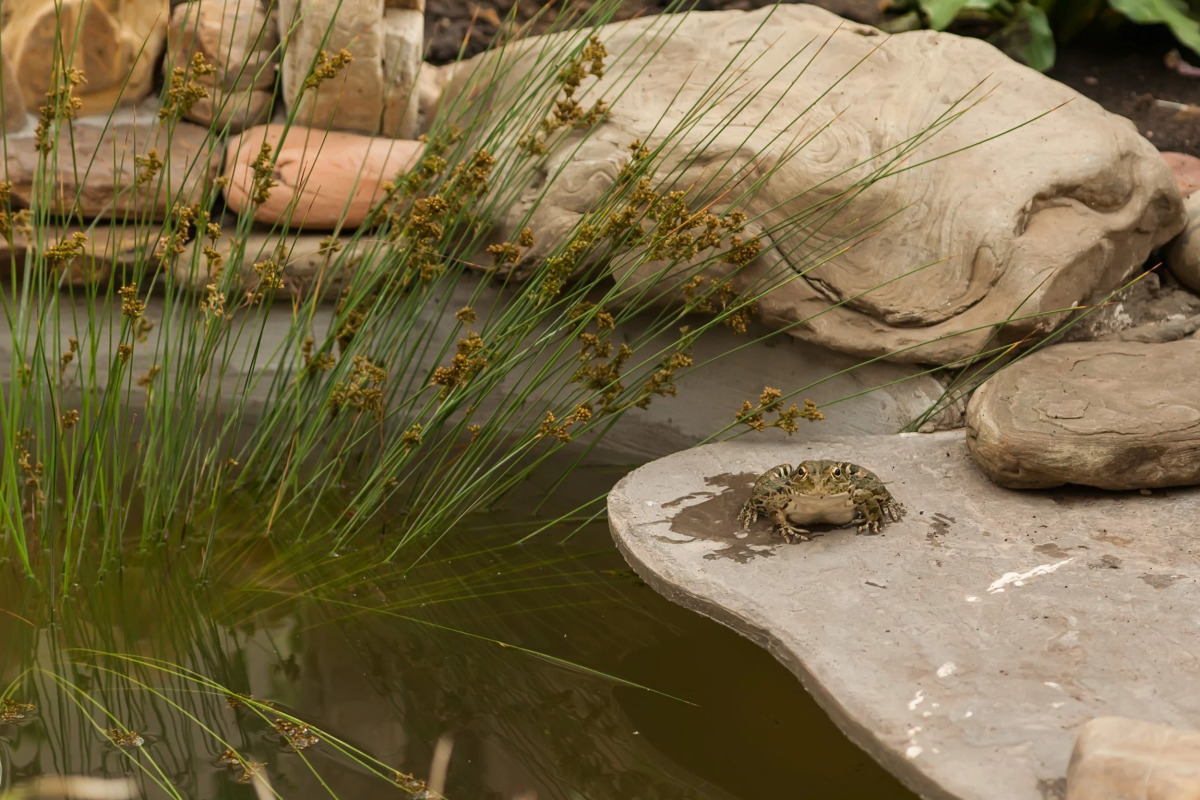 Отель Гермес