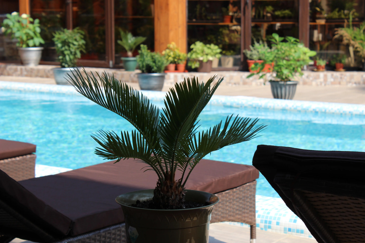 Гостевой дом Старая Мацеста