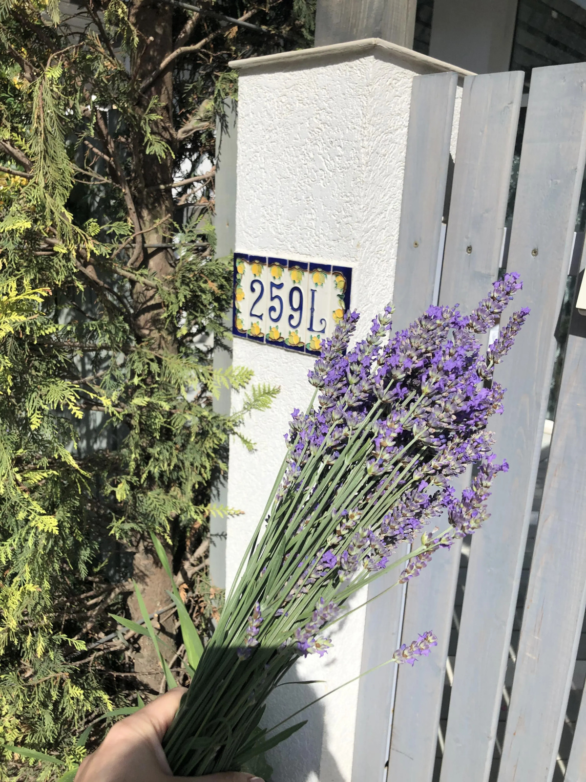 Гостевой дом Симирам