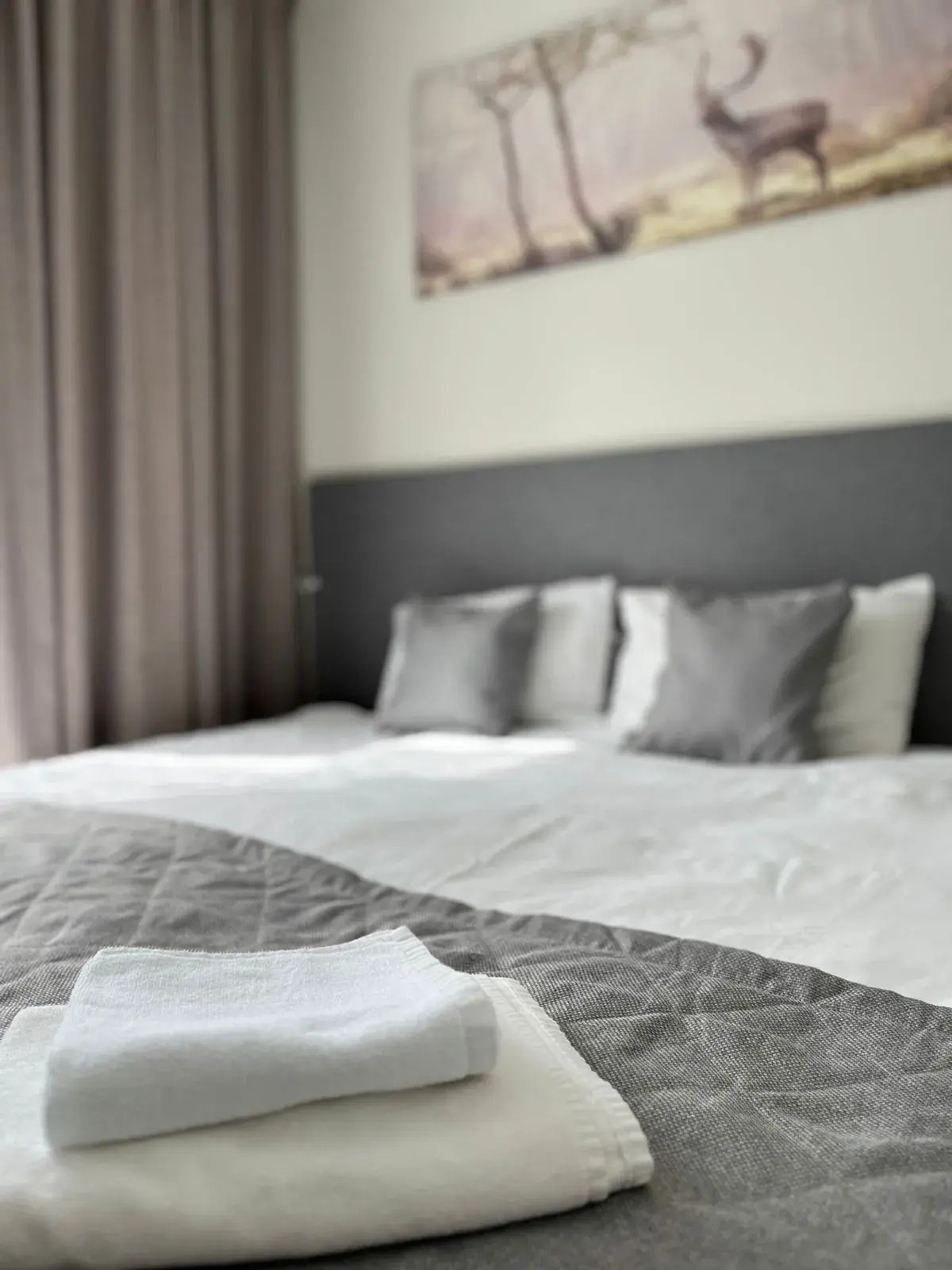 Апартаменты в Московском Районе Метро Купчино