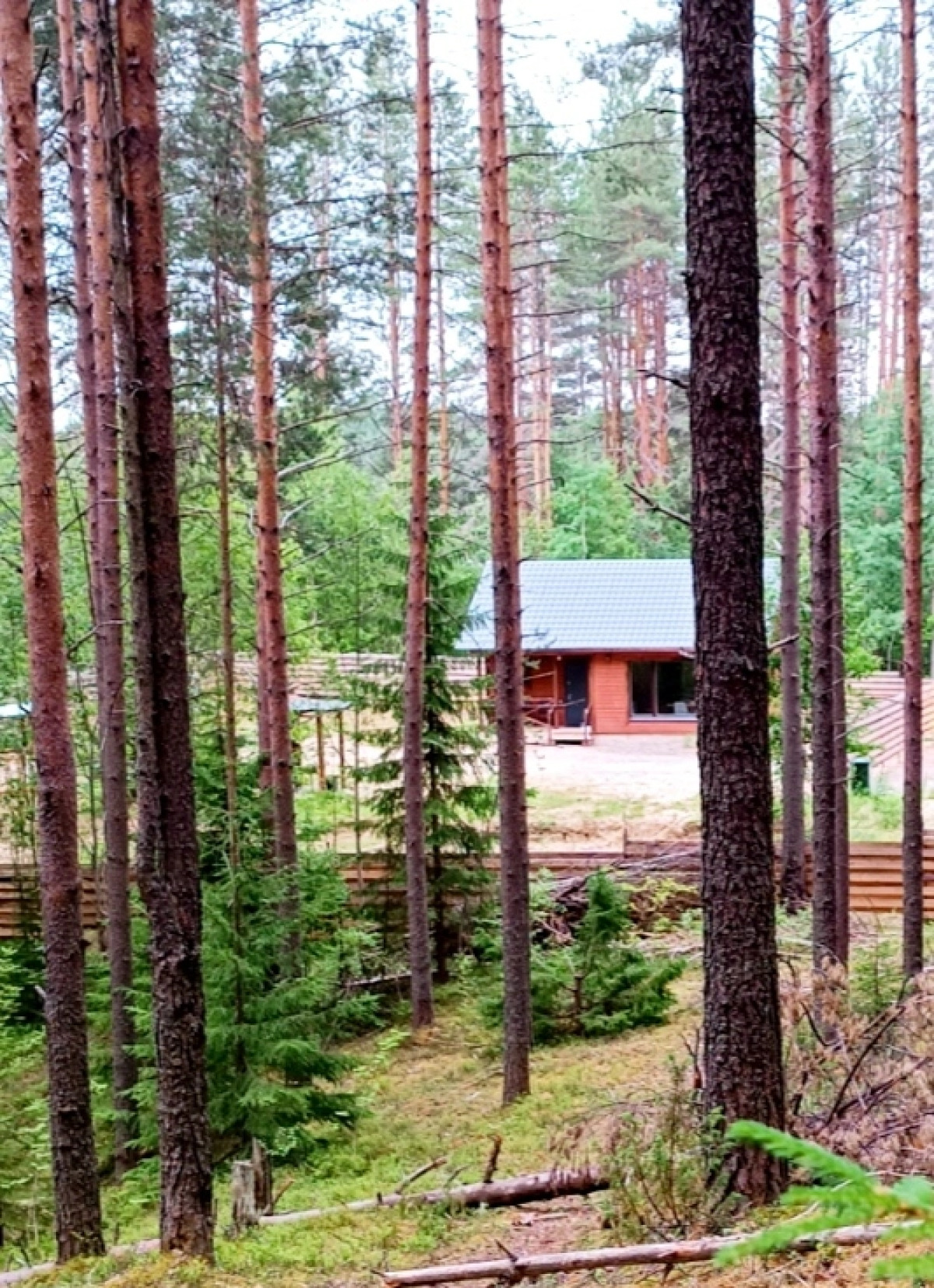 Гостевой дом Четыре Сезона