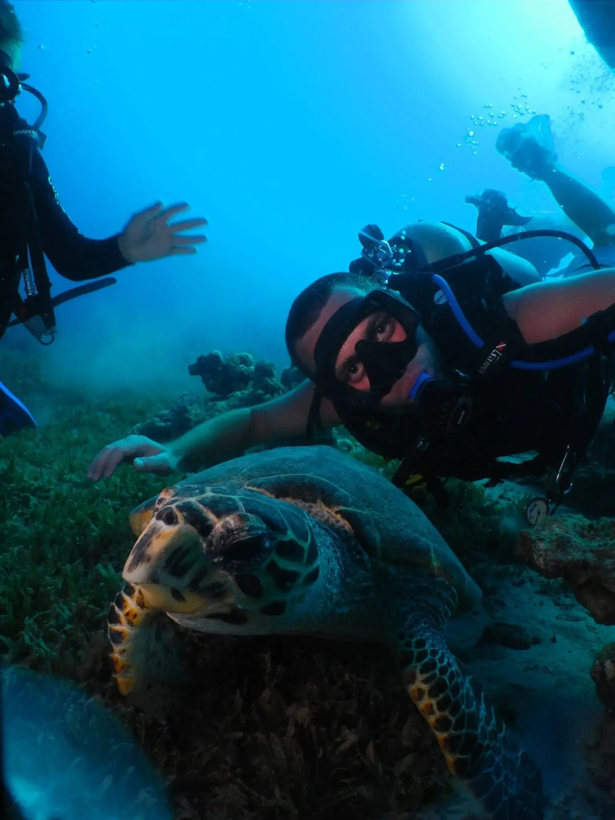 Гостевой Дом Neptun Dive Resort