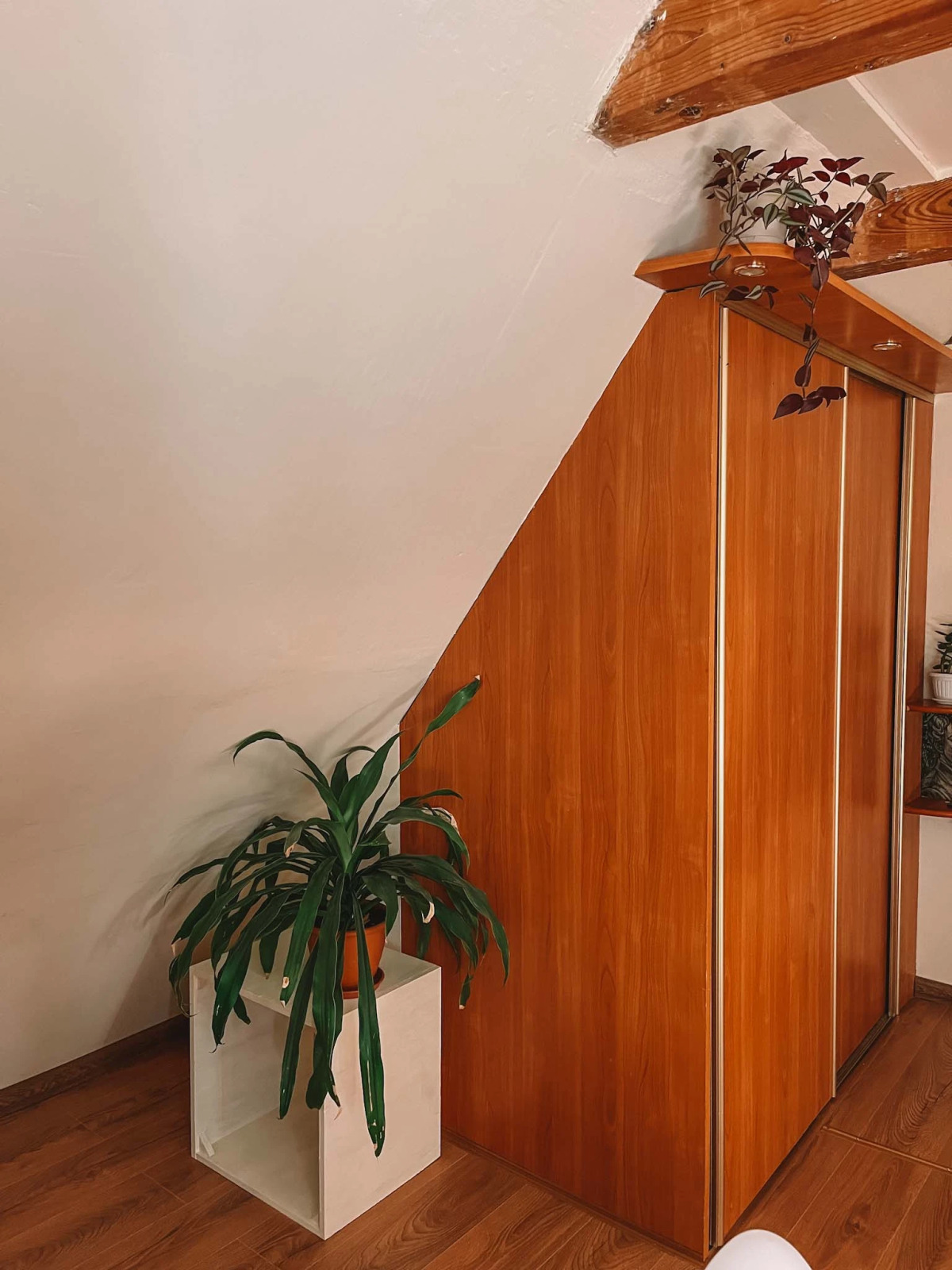 Квартира Двухкомнатная в Светлогорске