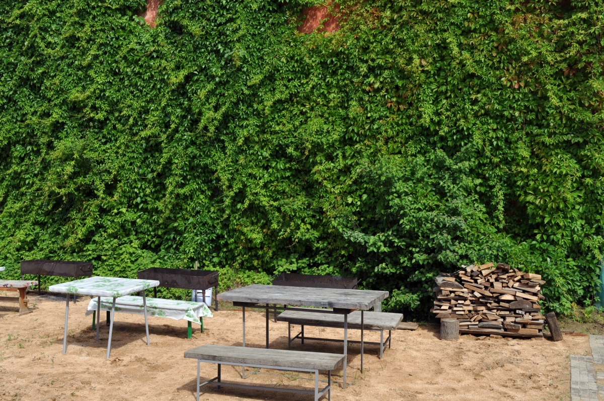 Отель Чайка