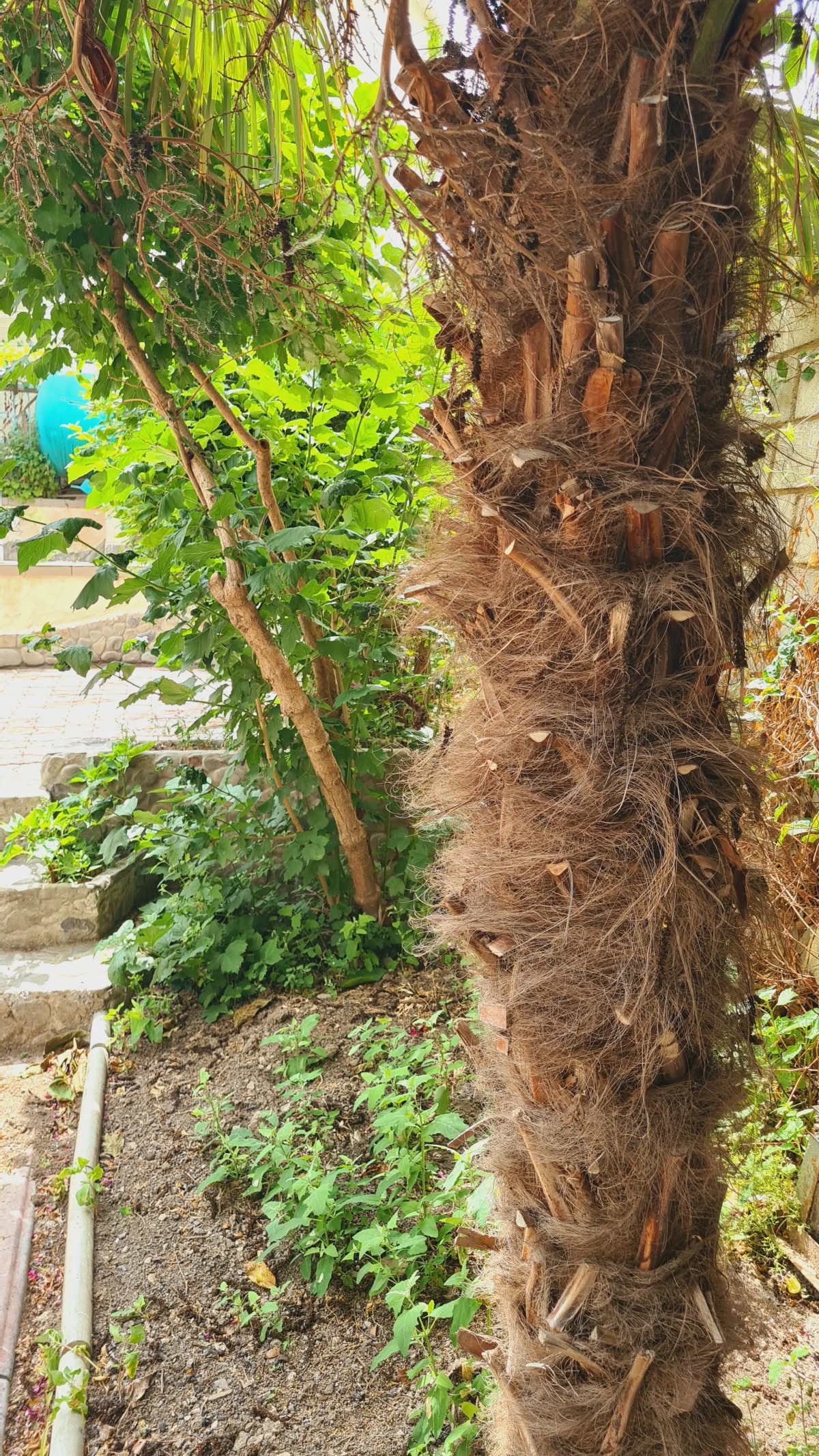 Гостевой дом Первая Линия