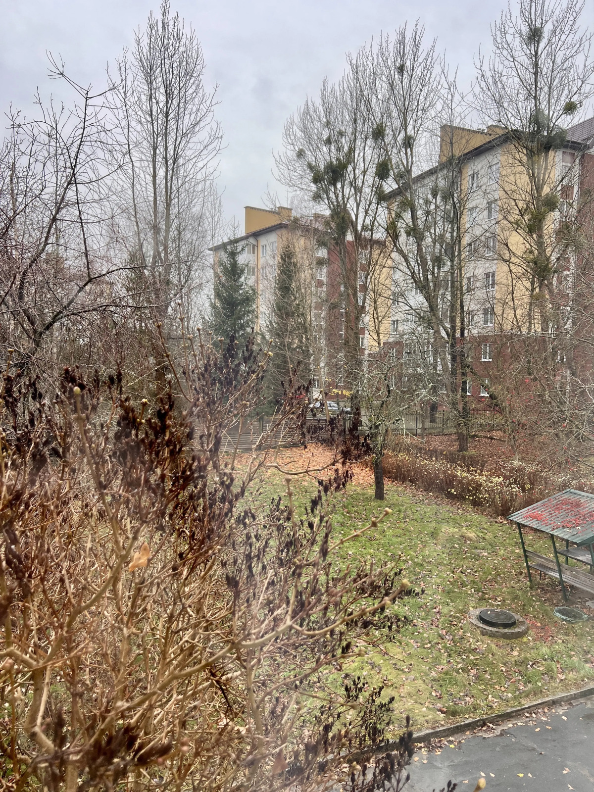 Гостиница Чайка