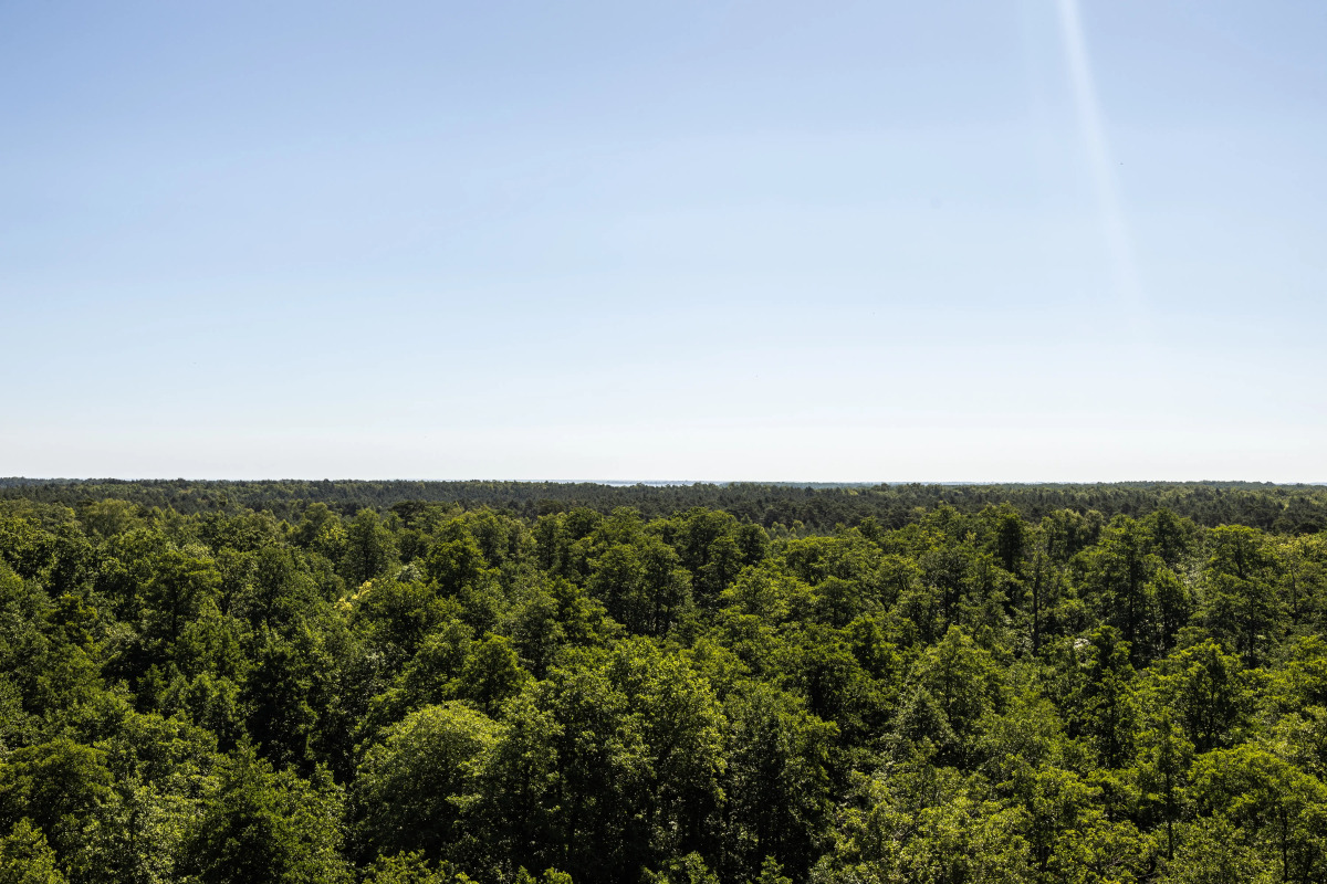 Апартаменты Созвездие