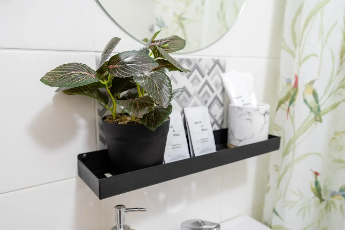 Квартира Пушкинский 1