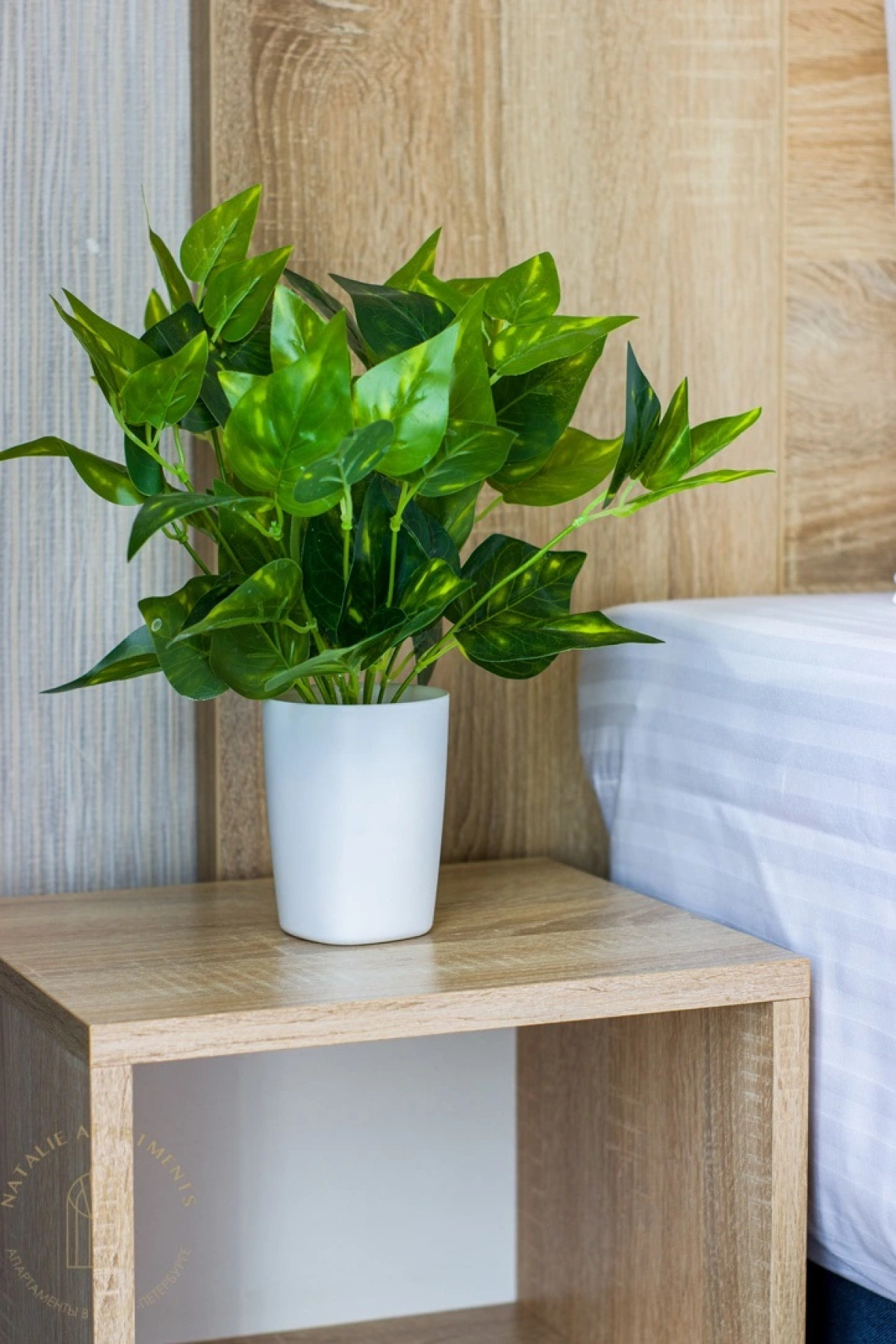 Апартаменты Студия Natalie Apartments Пулковское шоссе 14с6