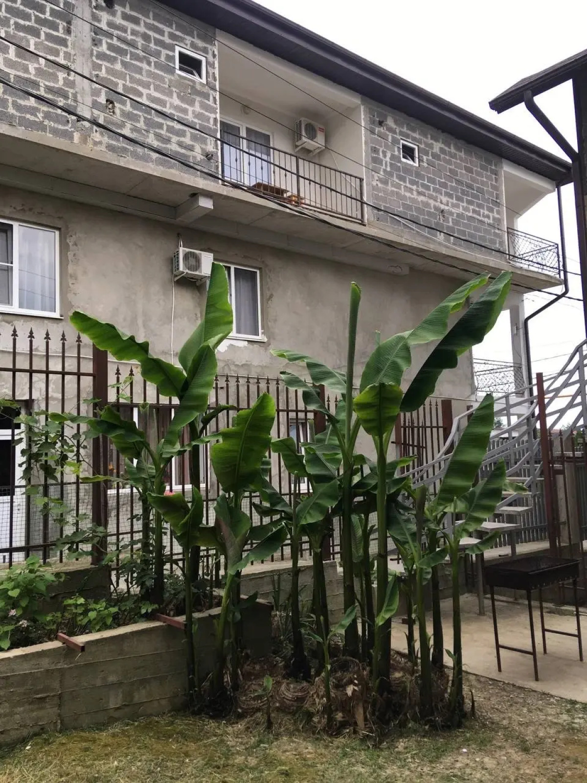 Гостевой дом Банановый рай