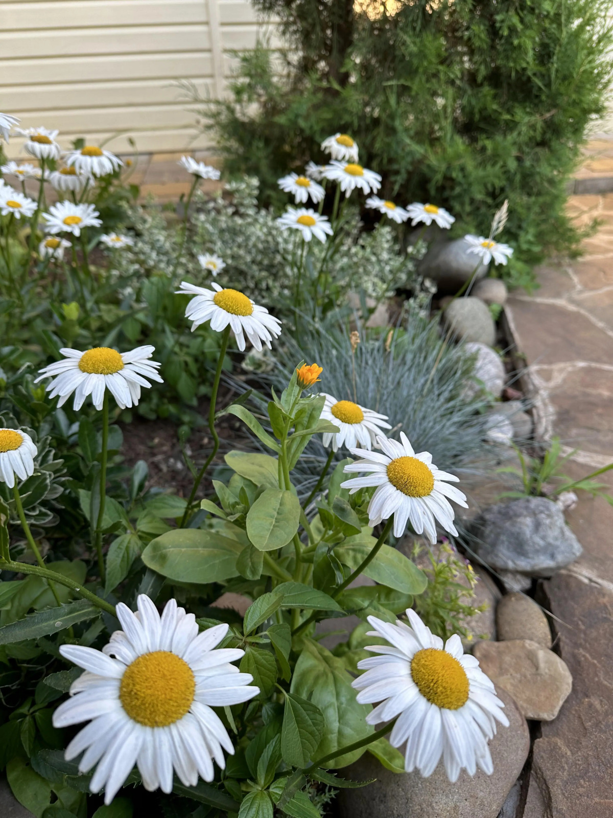 Гостевой Дом На Энгельса