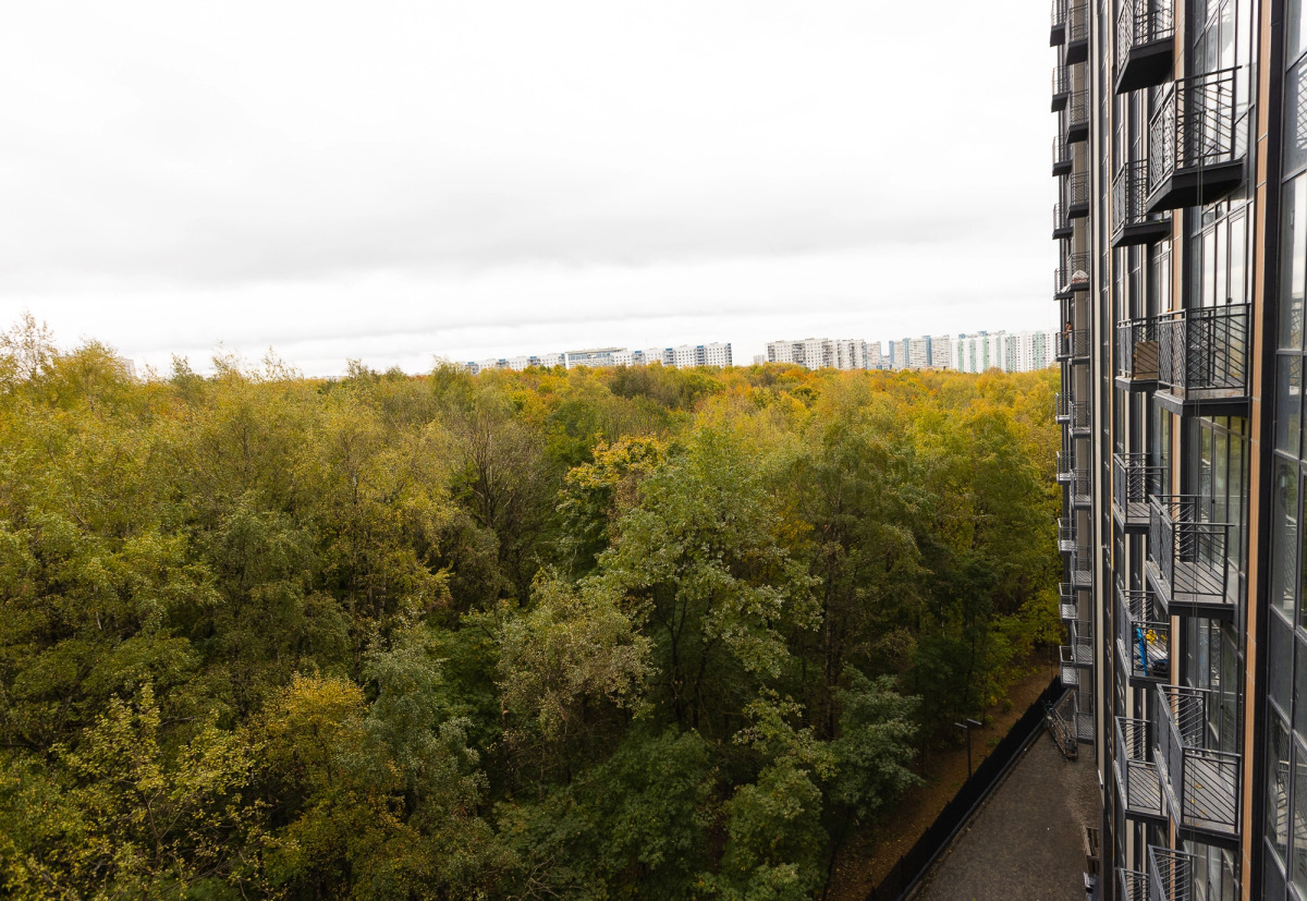 Апартаменты Лес 714/2