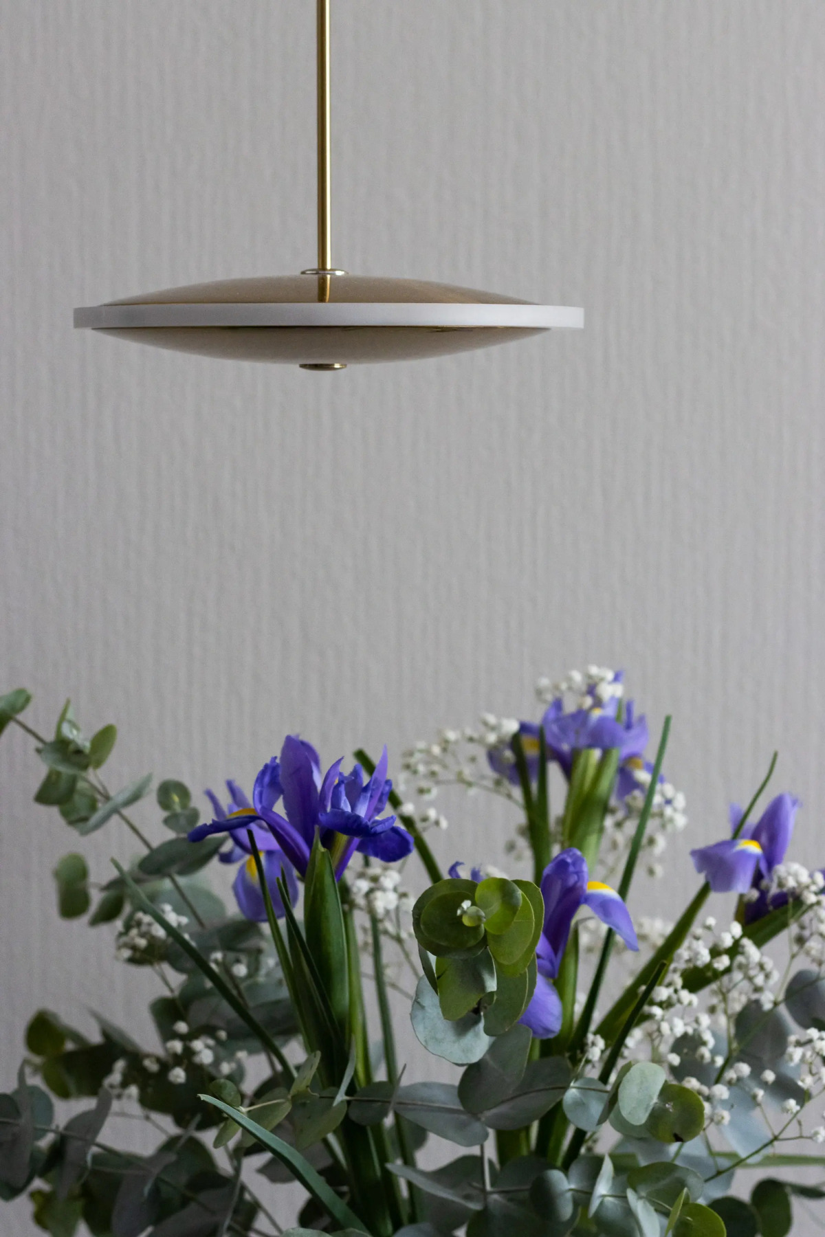 Апартаменты Merino Home Violet