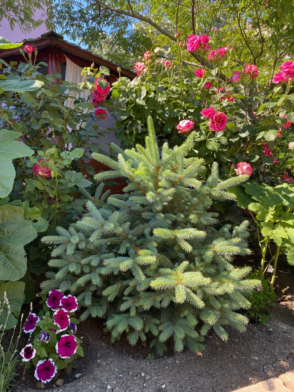 Гостевой Дом Фортуна