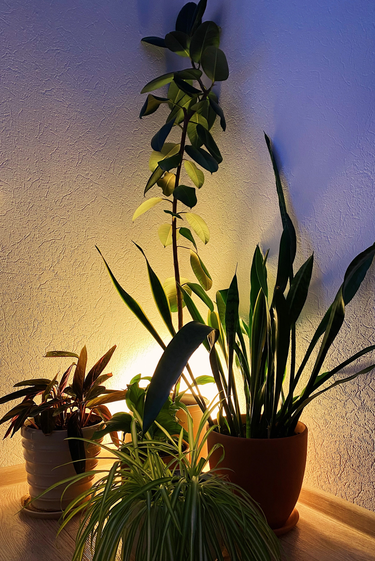 Апартаменты Scandic Romantic st.