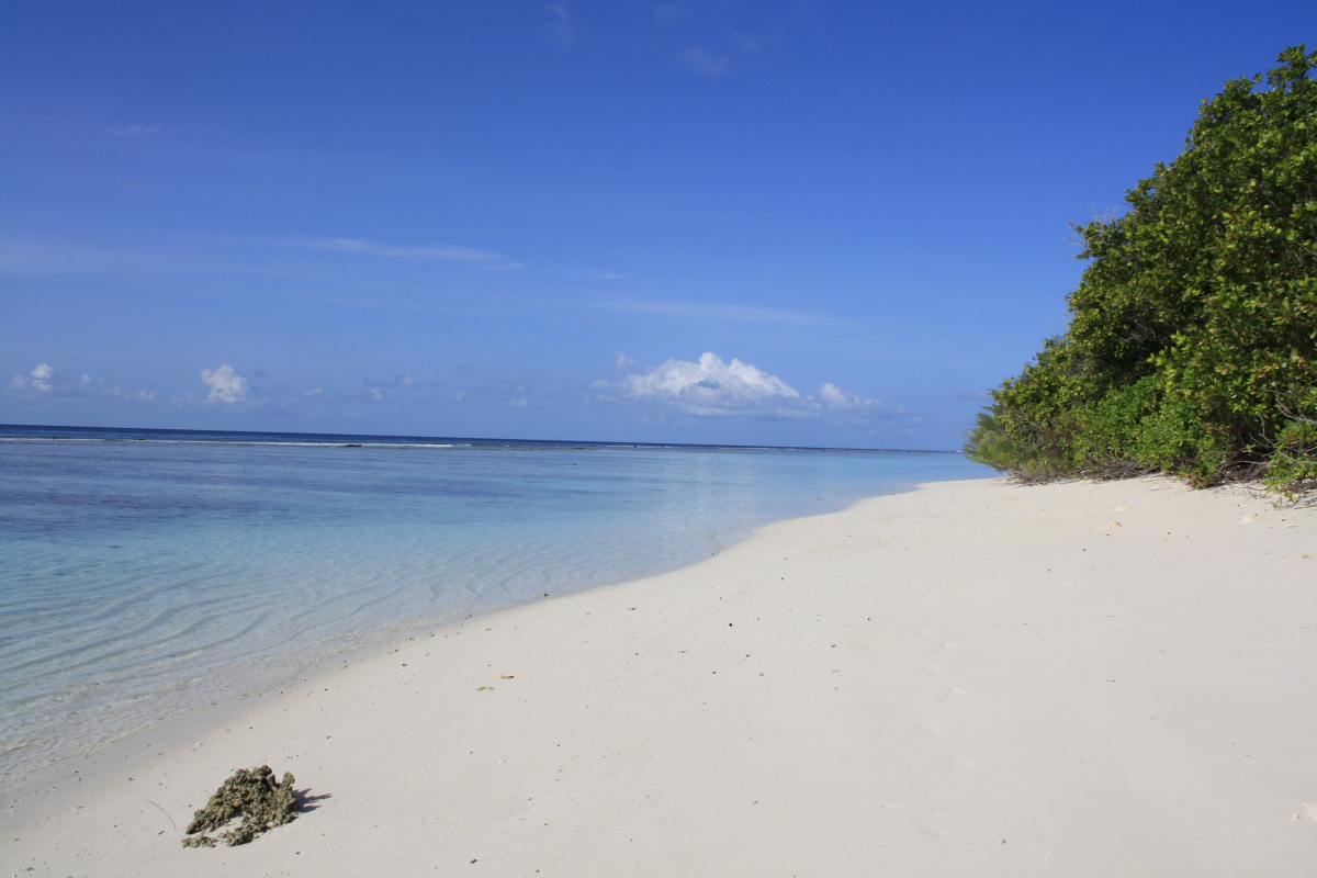Отель Boutique Beach All Inclusive Diving