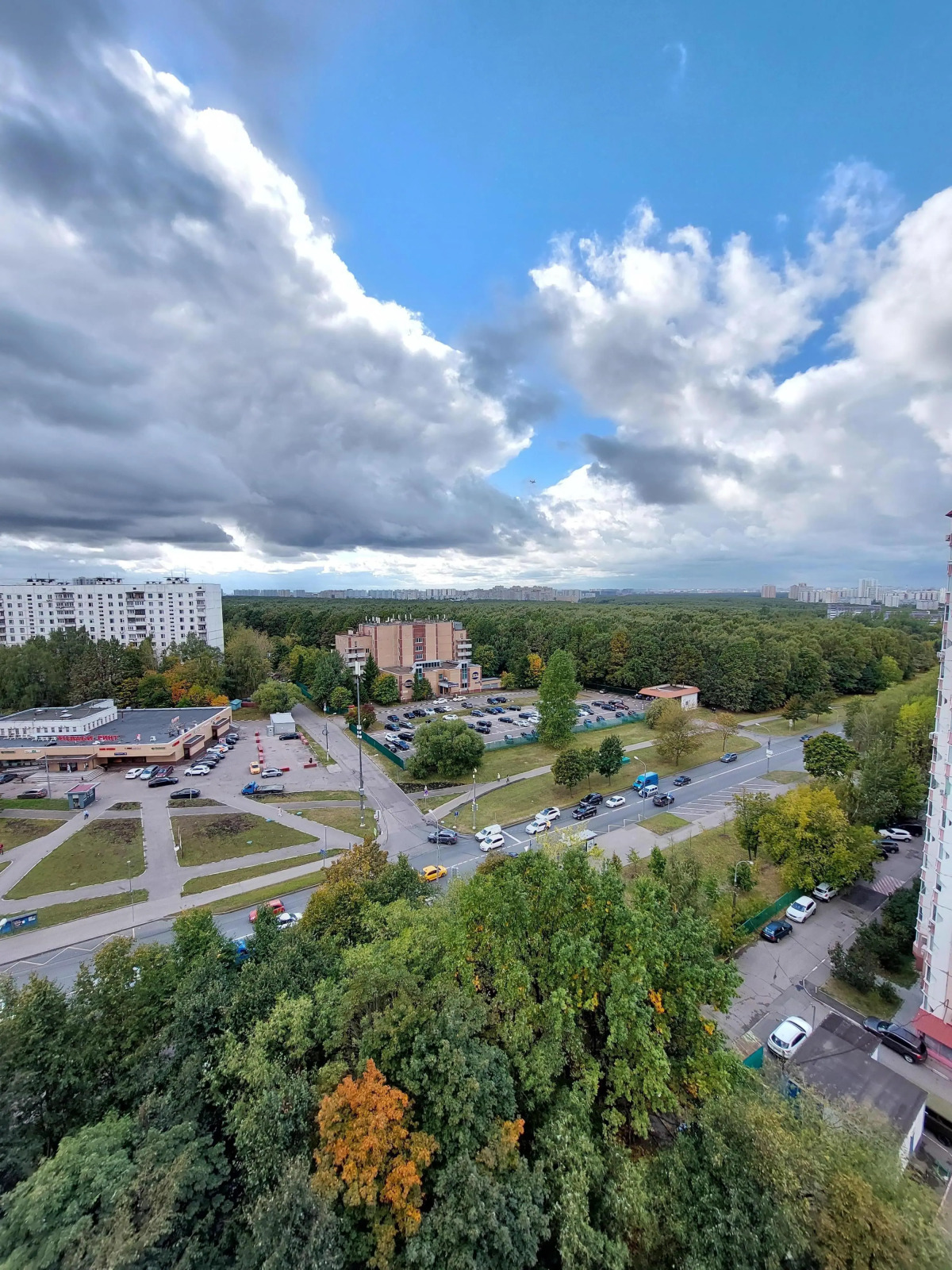 Апартаменты Островитянова 21