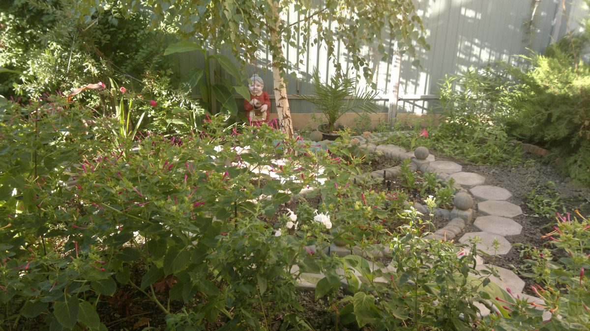 Гостевой дом Дом у Моря