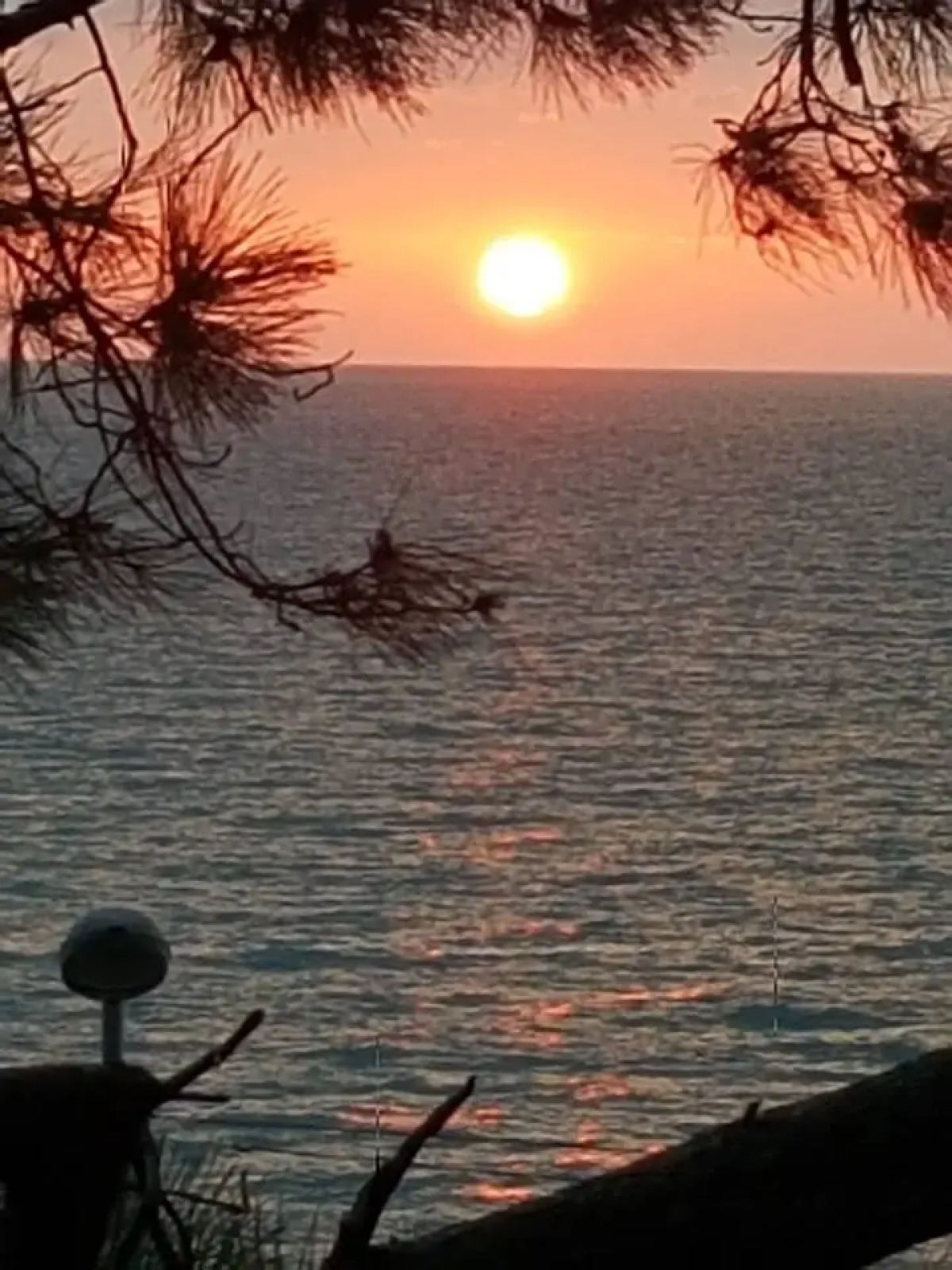 Отель Hotel Medusa