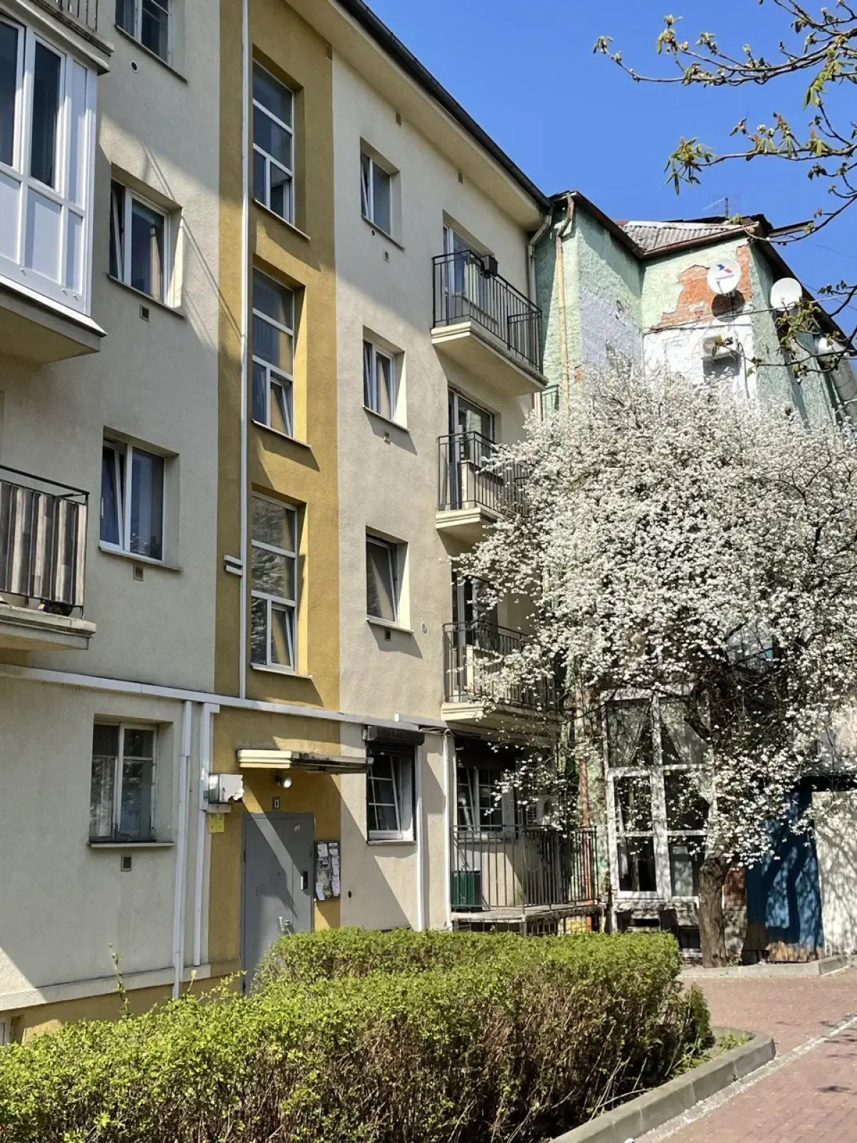 Квартира 1-комнатная Калининград