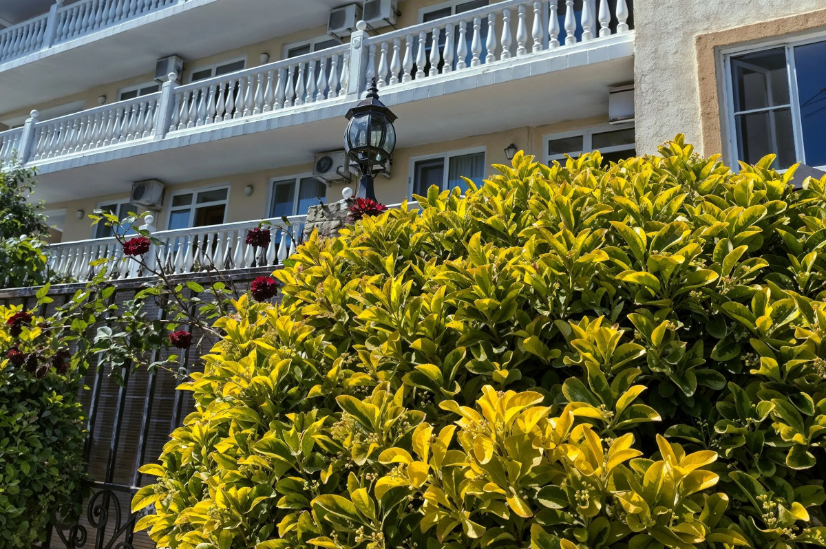 Гостевой дом Сансет Хилл