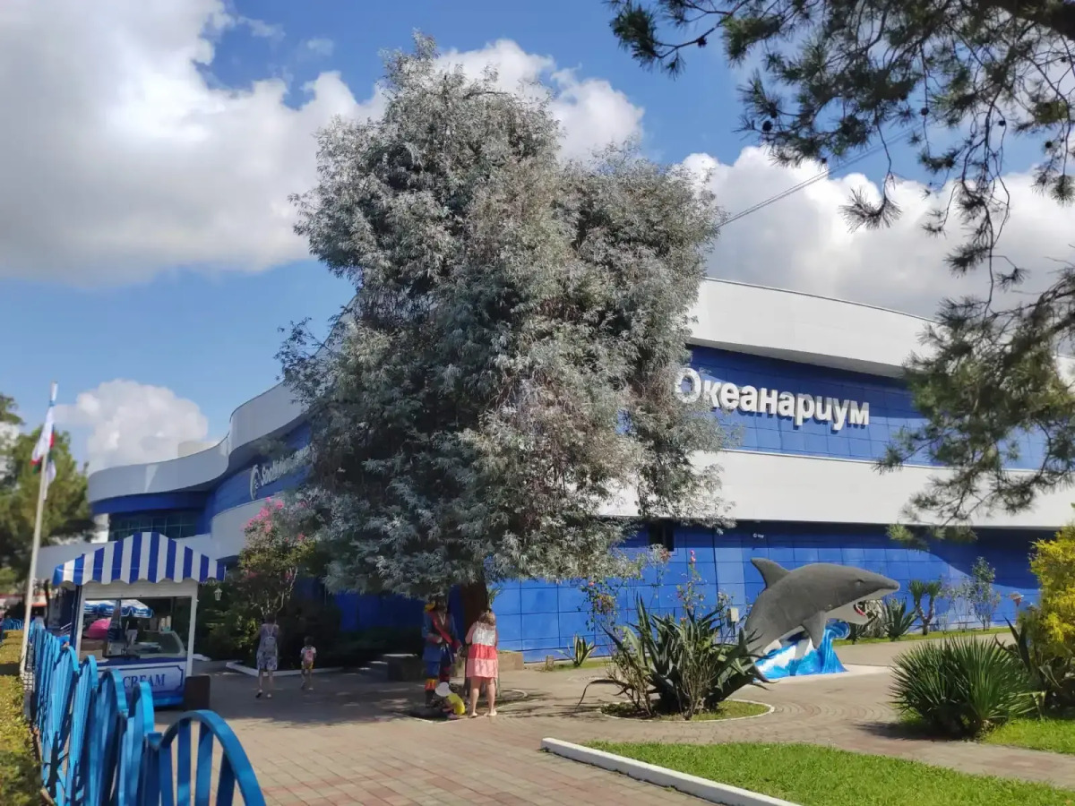 Апартаменты Семейные апартаменты Адлер