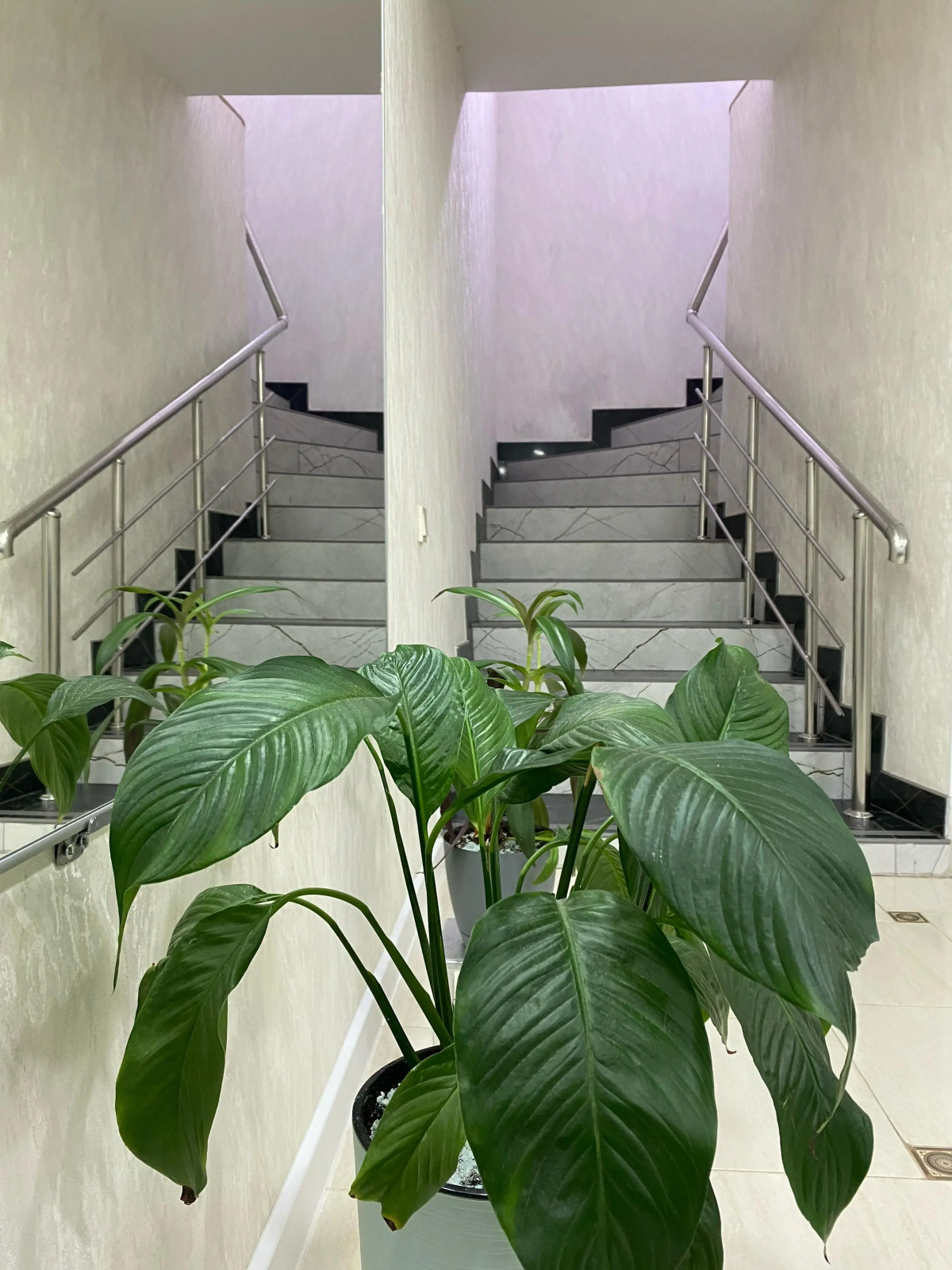 Гостевой дом Сокол