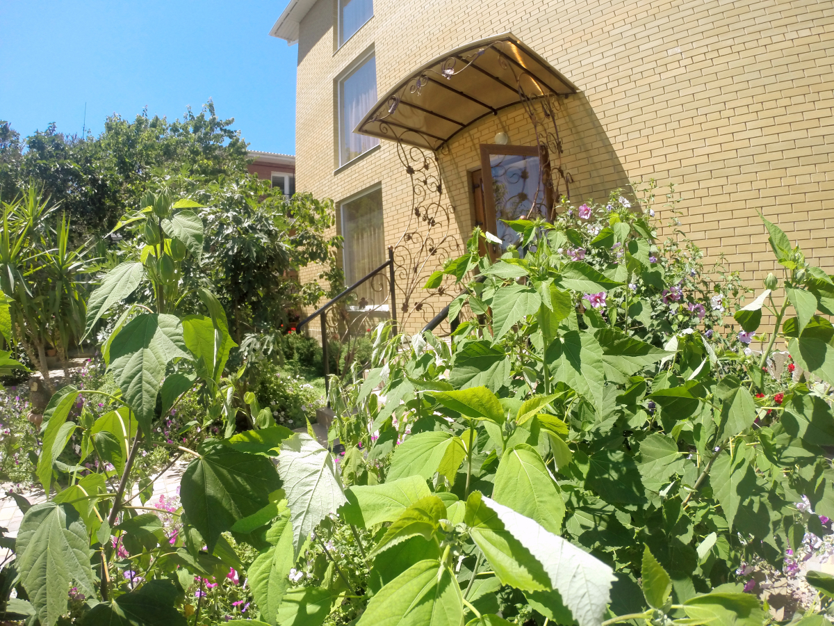 Гостевой дом Горлица